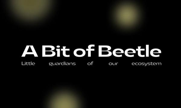 La Specola, mostra A Bit of Beetle