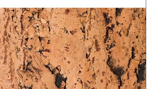 Il sughero. Come riciclare un materiale straordinario. Sabato 23 novembre 2024 ore 9.30-11.30  Aula T1 Via San Bonaventura 13, Quaracchi (FI)