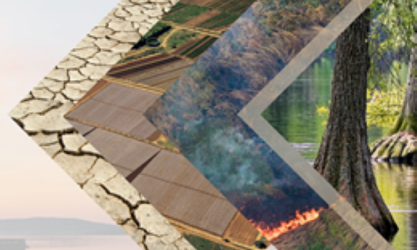 CLIMATE CHANGE, BIODIVERSITY AND SUSTAINABILITY: LESSONS FROM NATURAL ARCHIVES AND PROXIES - 14 e 15 novembre 2024 Sala Strozzi Via La Pira, 4 Firenze