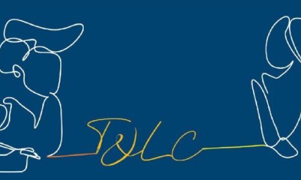 Promuovere le Life Skills nei corsi universitari tramite la scrittura - 20 maggio 2024 -  10.00- 13.00 online.