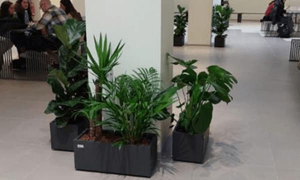 Iniziativa Green al Campus di Novoli.