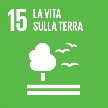 SGDS 15 - Vita sulla Terra